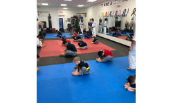 professional Taekwondo instructors