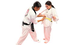 Taekwondo grading new belt awards